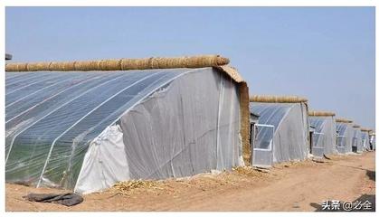 农村大棚房哪些不属于违建性质?看看政策是怎么规定的